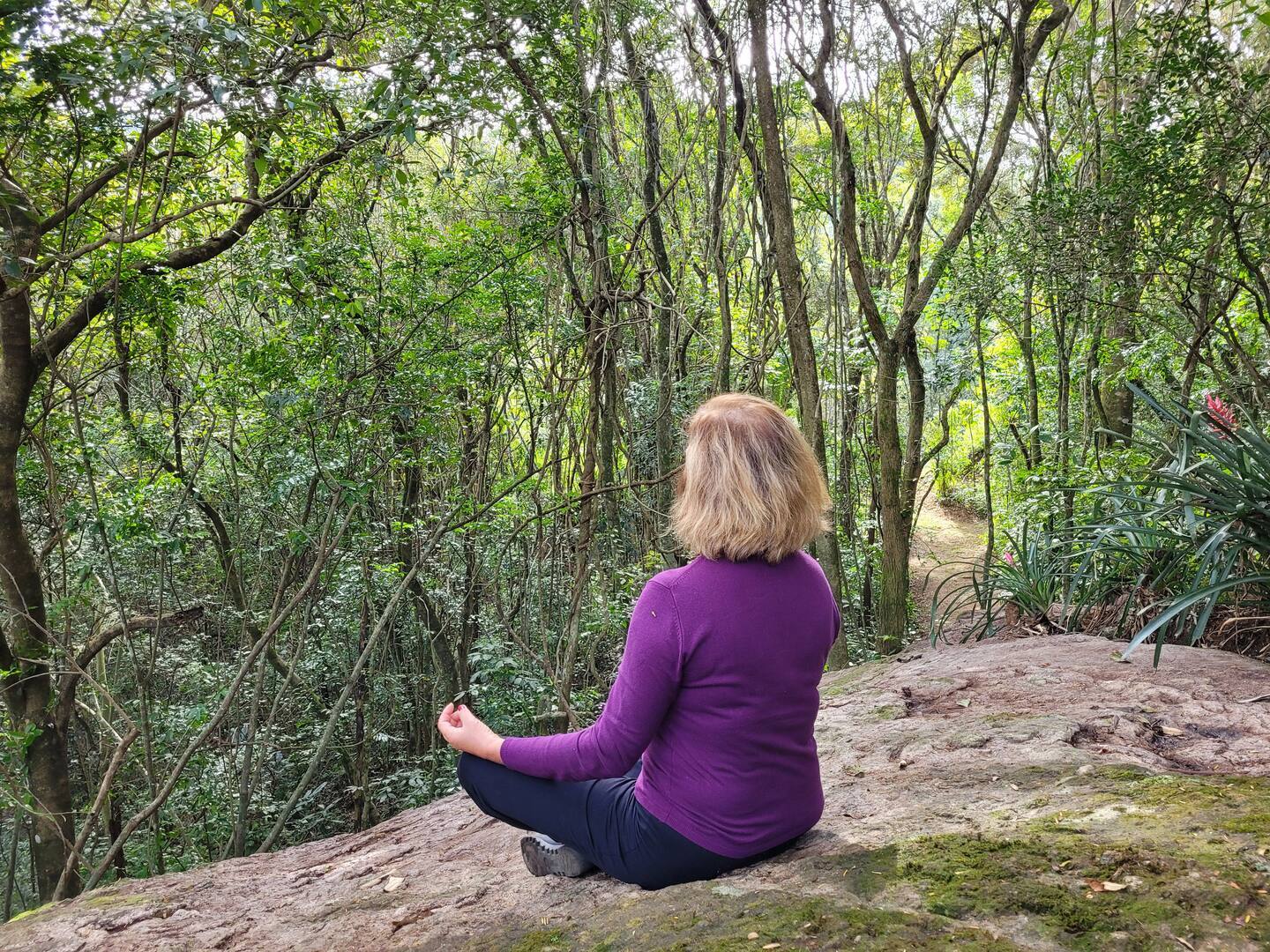 galeria-terras-santa-ynes- (1)