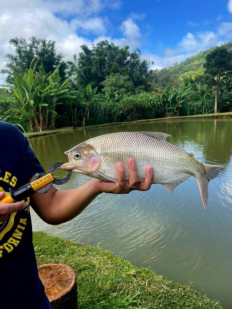 galeria-terras-santa-ynes- (9)